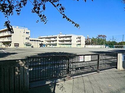 横浜市立みたけ台中学校 800m(10分)