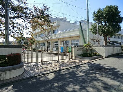 横浜市立恩田小学校 800m(10分)