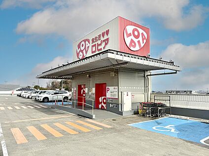 ロピア湘南めぐみが丘店 3800m(48分)
