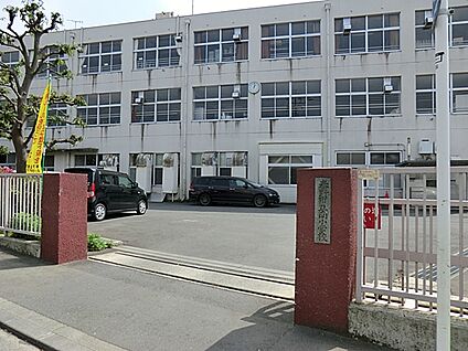 秦野市立南小学校 800m(10分)