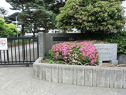 相模原市立弥栄中学校 880m(11分)
