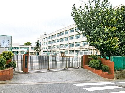 横浜市立中沢小学校 550m(7分)
