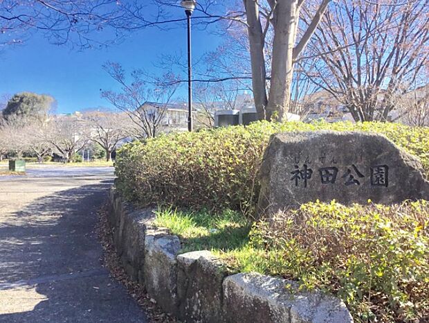 神田公園（約950m）
