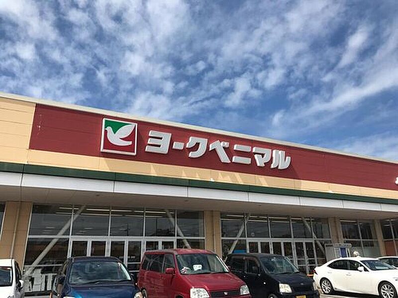 ヨークベニマル谷田部店