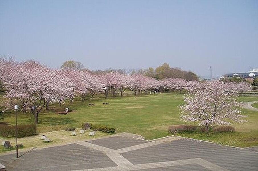 絹の台桜公園まで車で７分♪
絹の台地区では最も大きい公園で、駐車場も完備、広場を中心に芝生が広がるほか、多目的広場・野外ステージ・遊具広場・テニスコートなどが設置されています。