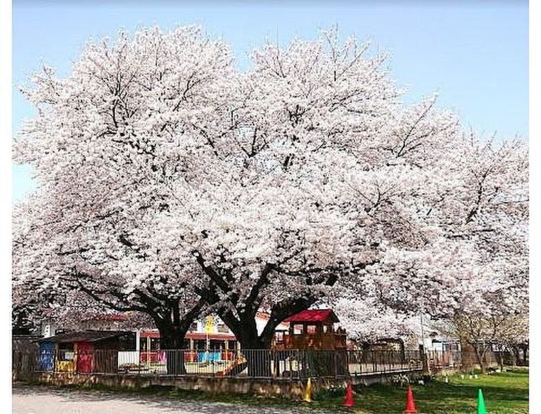 【その他】認定こども園八千代中央幼稚園