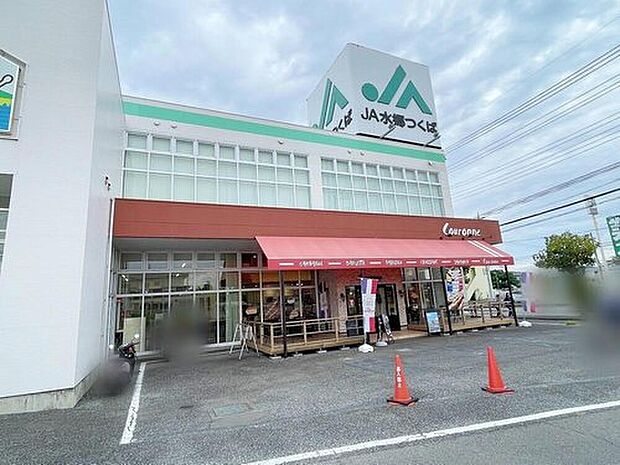 JA水郷つくば土浦南支店（約730m）