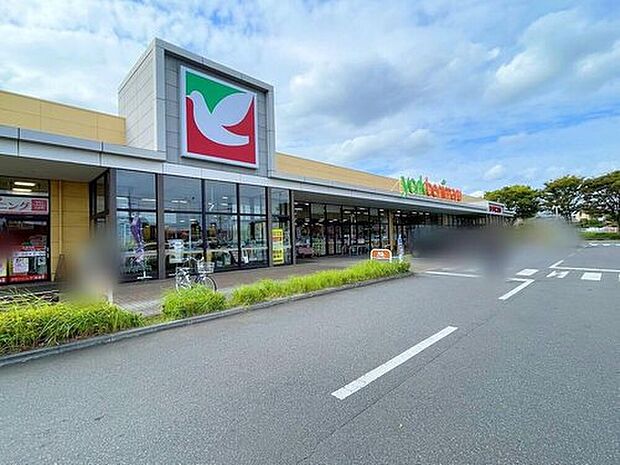 ヨークベニマル牛久南店（約450m）