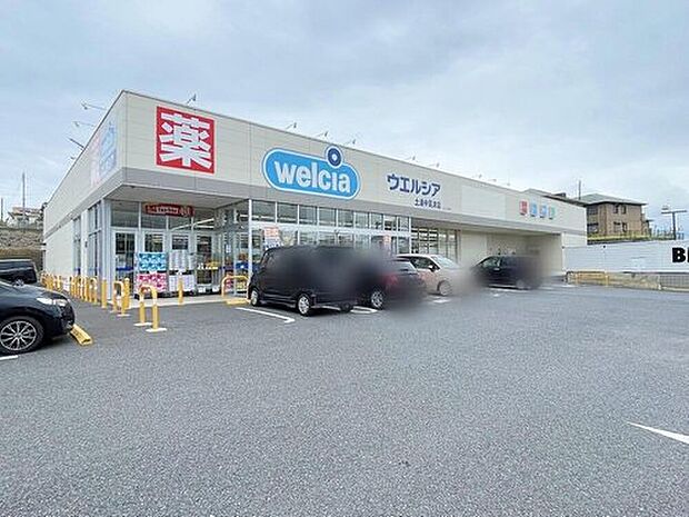 ウエルシア土浦中高津店（約1,270m）