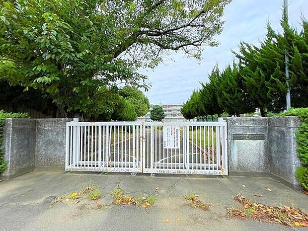 土浦市立土浦第一中学校(約500m)