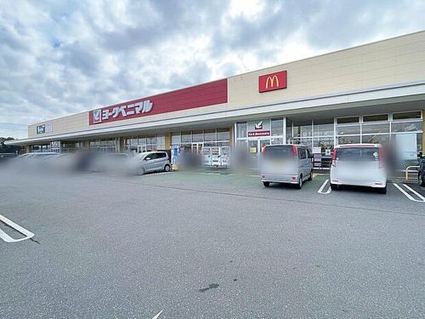 ヨークベニマル千代田モール店（約1,300m）