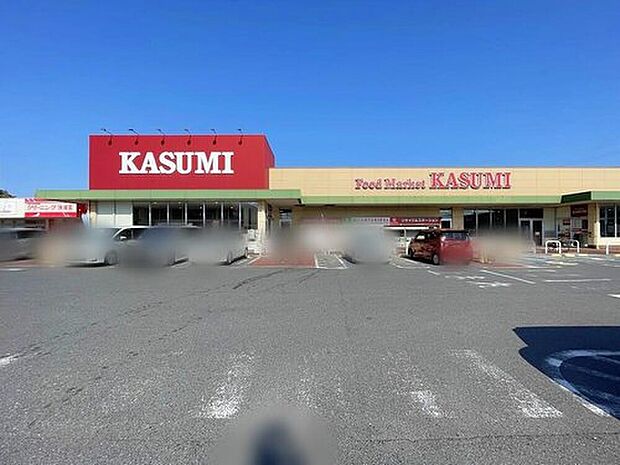 カスミ取手ゆめみ野店（約1,200m）