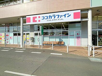 ココカラファインイオンタウン守谷店 790m (徒歩１０分)