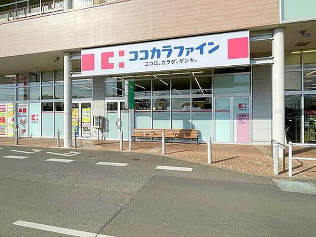 ココカラファインイオンタウン守谷店(約790m)
