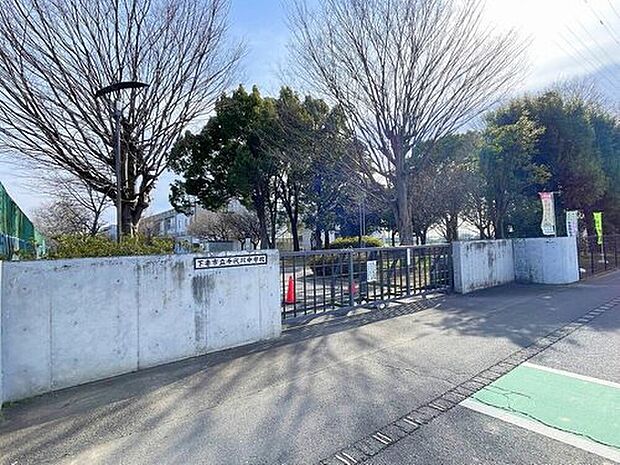 下妻市立千代川中学校（約800m）