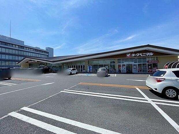 ヨークベニマル新原店(約1,180m)