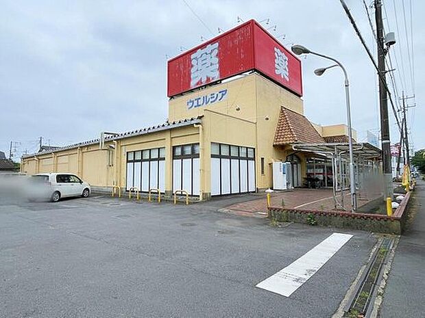 ウエルシア石岡杉並店（約260m）