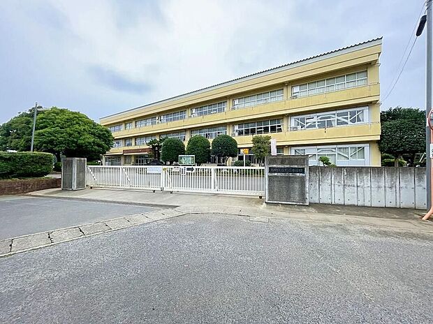 石岡市立杉並小学校（約550m）