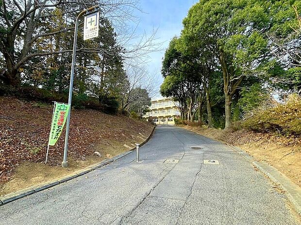 土浦市立右籾小学校(約1,900m)