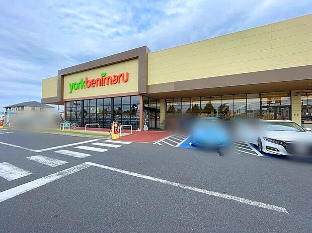 ヨークベニマル牛久上柏田店(約740m)