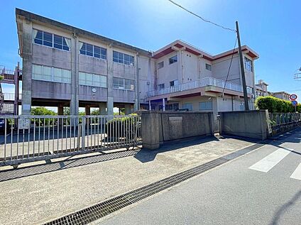 土浦市立神立小学校 1300m(徒歩17分)