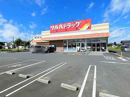 ツルハドラッグ水戸東前店 690ｍ(徒歩9分)
