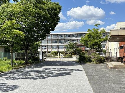 一宮市立木曽川中学校 839ｍ(徒歩11分)