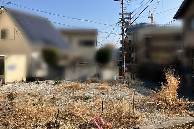 【現地写真】2026年2月撮影