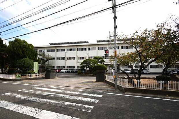 徳島市立八万小学校