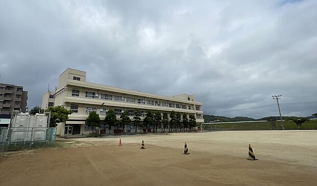 丸亀市立城東小学校（約550m）
