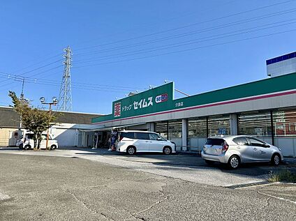 ドラッグセイムス介良店 1230m(徒歩16分)