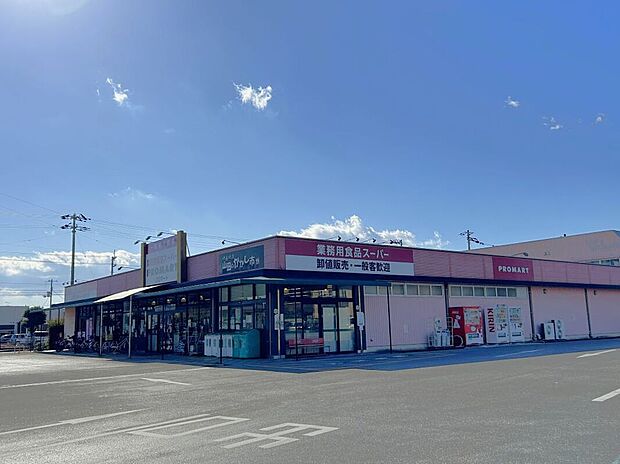 プロマート土佐山田店（約607m）