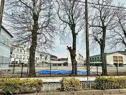 潮江東小学校 徒歩500m