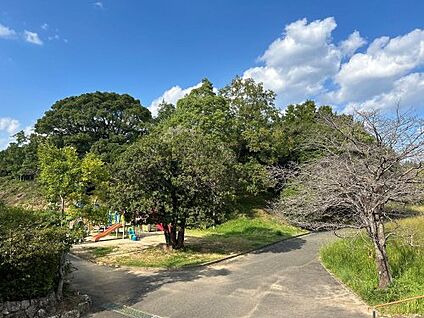 大谷公園 徒歩818m