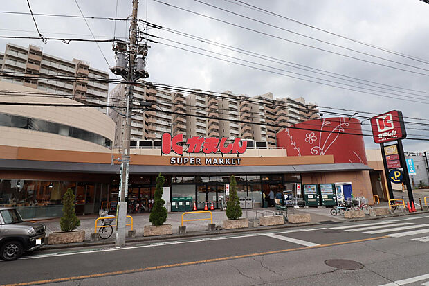 かましん戸祭店（約981m）