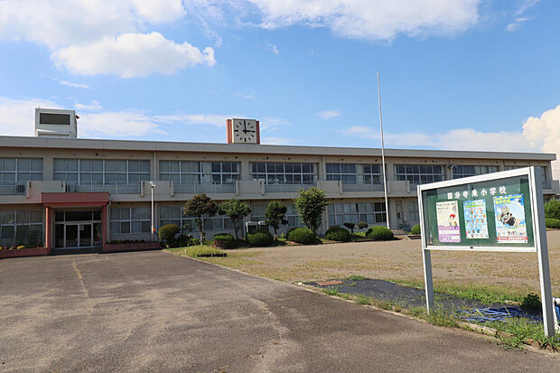 国分寺東小学校（約481m）