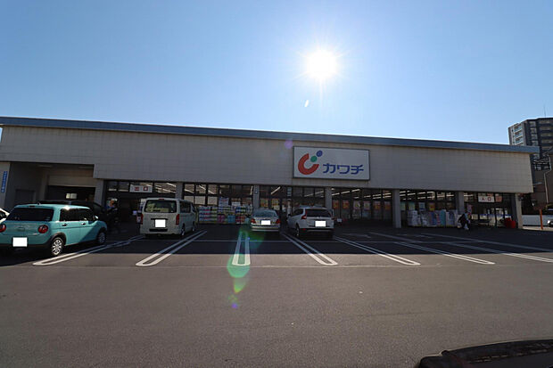 カワチ薬品今泉店(約478m)
