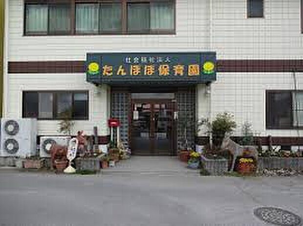 たんぽぽ保育園(約790m)
