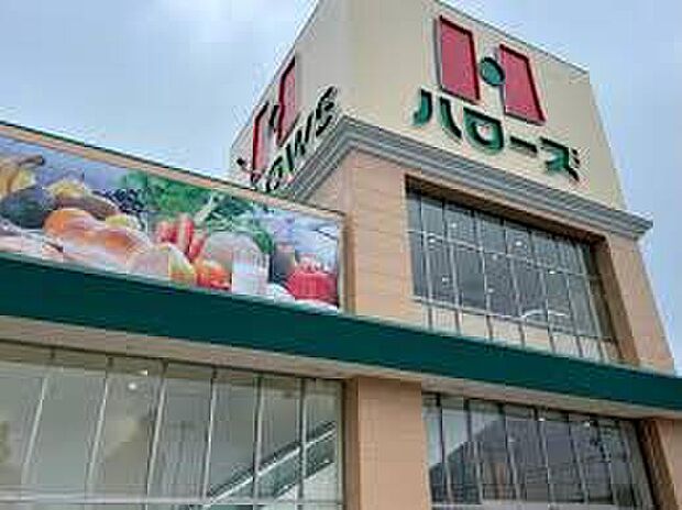 ハローズ野里店（約1,000m）