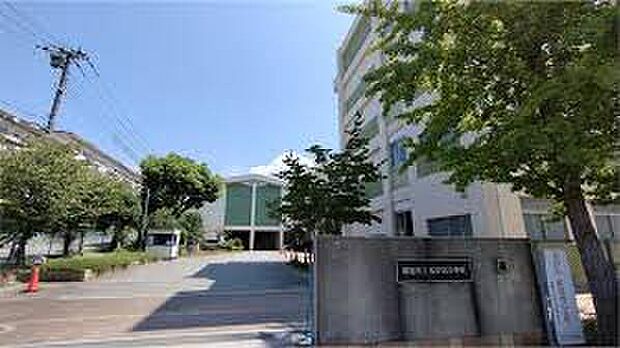 明石市立松が丘小学校(約290m)