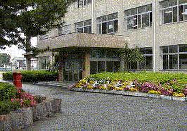 加古川市立浜の宮小学校（約110m）