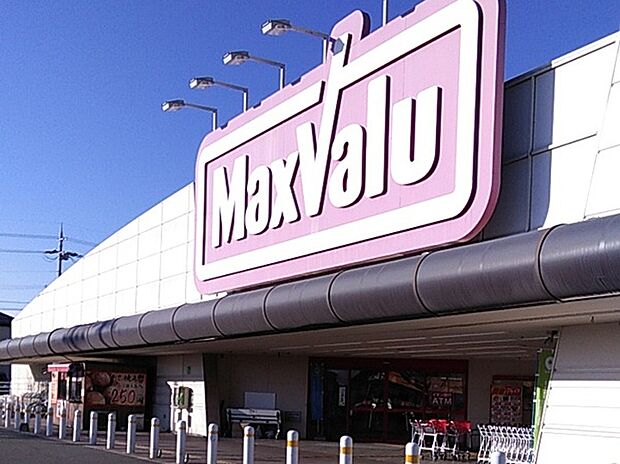 マックスバリュ石守店(約1,300m)