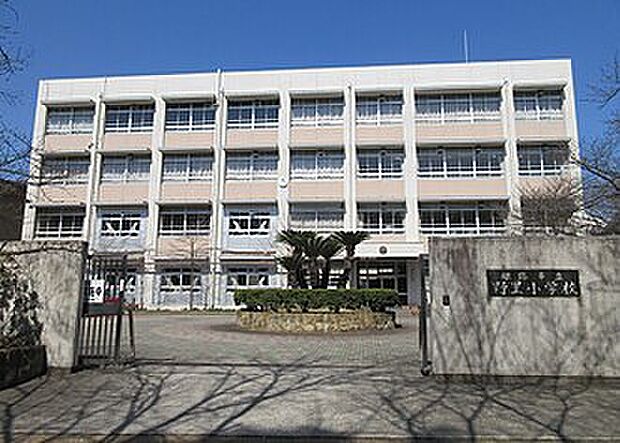 姫路市立野里小学校(約540m)
