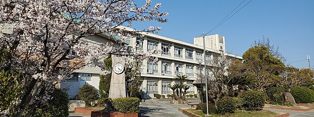姫路市立灘中学校（約2,300m）