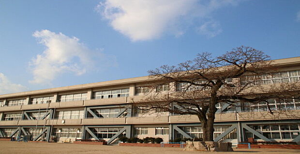 太子町立鵤小学校(約950m)