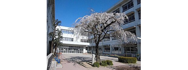 姫路市立荒川小学校(約1,900m)