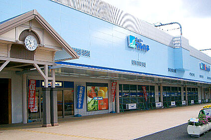 スーパーマルハチ加古川店 970ｍ(徒歩13分)