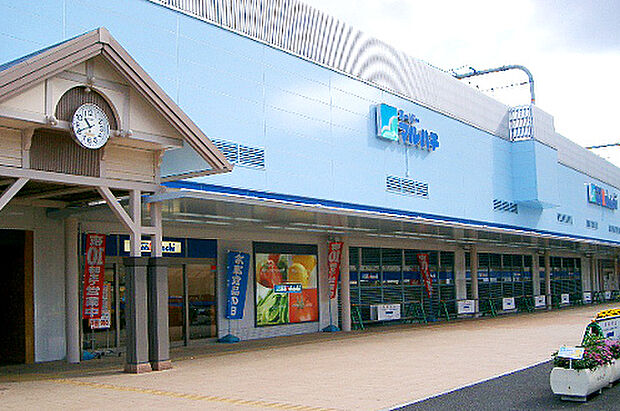 スーパーマルハチ加古川店（約970m）