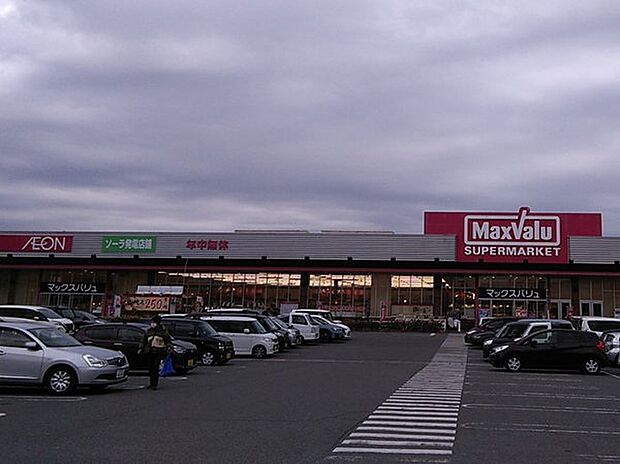 マックスバリュ大久保西店（約420m）