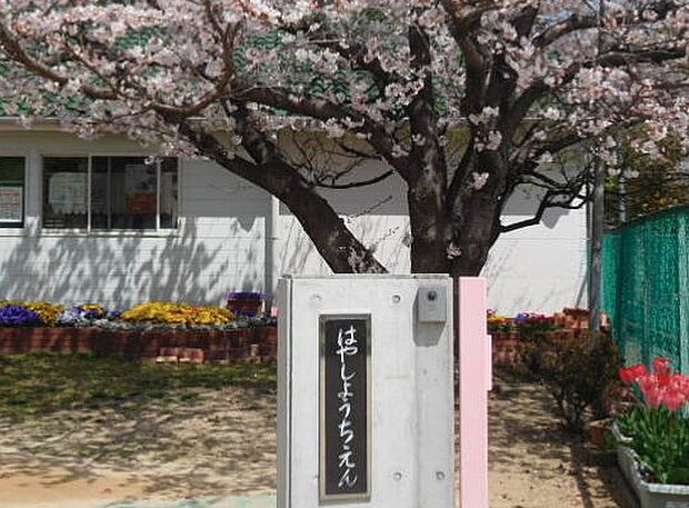 明石市立林幼稚園(約840m)